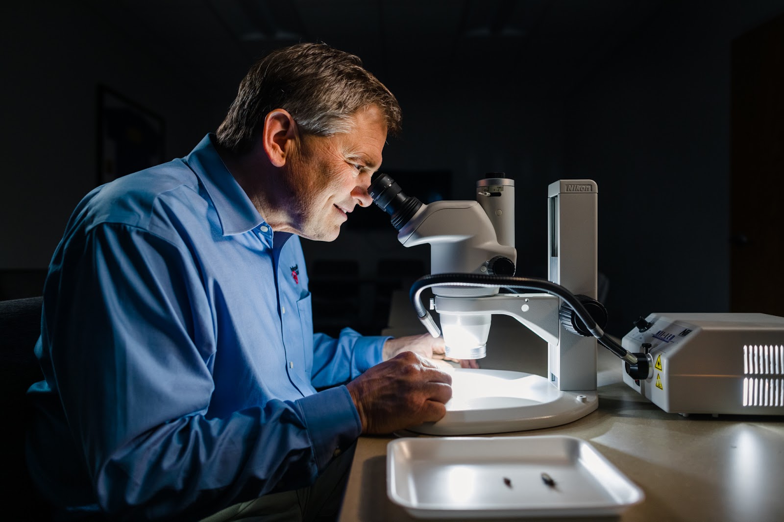 entomologist looking through microscope to study bugs.